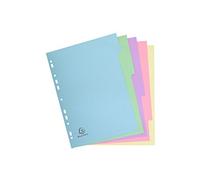 Divisori, Register Forever, cartoncino riciclato, formato A4, 12 schede, 5 Tabs, pastello, 5