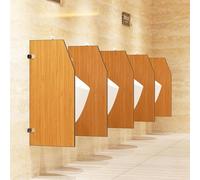 Divisorio della divisione dell'orinatoio dell'acciaio inossidabile, schermo igienico durevole del deflettore per i servizi igienici pubblici nelle aree ad alto traffico