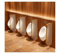 Divisorio For La Privacy Dell'orinatoio, Divisori Traslucidi For WC, Montati A Parete, Adatti For Spazi Pubblici Come Hotel, Scuole E Centri Commerciali(Gold,1 PCS)