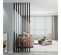 Divisorio moderno - 10 doghe in metallo da 250 cm, separatore da parete per casa, ufficio e rifugio, design a colonna da soffitto a pavimento, per stanze separate