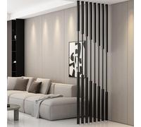 Divisorio moderno in metallo - 8 pezzi Freending No Drill Partit Post per soggiorno e camera da letto 110 cm/43 pollici altezza separatore spazio slish