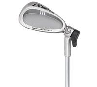Divnick Golf Adjustable Telescopic "Whole-In-One" ferri, acciaio, Unisex, Mancino, All-in
