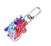divuukyi Portachiavi anatomico con ciondolo a forma di cuore, accessorio educativo per studenti di fisica e operatori sanitari, Cuore 2, 7CM long