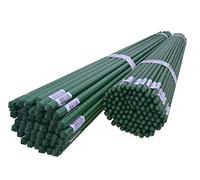 DIXIE STORE - Picchetti di sostegno per piante da giardino, pomodori, cetrioli, fiori - Picchetti di sostegno per piante rampicanti - Picchetti in metallo - Lunghezza: 105 cm Ø 9 mm 50 pz.