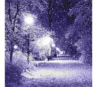 DIY 5D Diamond Jewel Paint Kit Winter Snow Scene Pattern Full Drill Cross Stitch Diamond Jewel Paint for Adults Children Home Wall Decoration Arts Craft Supply