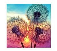 DIY 5D Diamond Painting by number Kits,Pittura diamante 5D fai da te Dandelions pieno trapano strass ricamo a punto croce PICTURES Arts Craft for home Wall Decor 30 x 30 cm