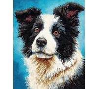 DIY Animale Latch Hook Rug Kit Border Collie Dei Cartoni Animati Kit Per Realizzare Tappeti A Punto Croce，Kits Per Tappetis All'Uncinetto，Set Per Ricamo，Lavori Di Cucito Per La Deco 35x46in