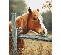 Diy Bead Embroidery Kits Animale Cavallo Kit Artigianali Con Ricamo Ad Ago Kits Punto Croce Con Perlines Fai Da Te Pittura Con Perline 3D 30x40cm