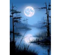 Diy Bead Embroidery Kits Paesaggio Lunare Fantasy Schema Per Ricamo A Punto Croce Con Perline，Fai Da Te，Da Appendere Alla Parete，Set Di Perle 3D 50x70cm