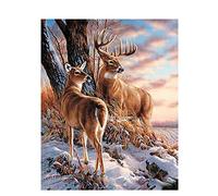 DIY Dipingere con i Numeri Adulti Paint by Numbers Kit per Quadri da Dipingere Numerati Include Pennelli e Colori Acrilici,per la Decorazione della Parete di Casa 50x65cm Cervi di paesaggio invernale