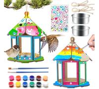 DIY Kit di artigianato artistico mangiatoie per uccelli fai-da-te per giardino,DIY appeso all'aperto,Pittura Costruisci Arte Artigianato Regali Giocattoli per Bambini,Ragazzi,Ragazze,2 pacchi