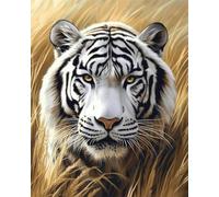 DIY Kit Punto Croce Prestampato Tigre Bianca Fantastica 11CT 30x40cm