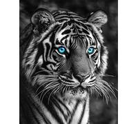 Diy Set Ricamo Perline Tigre Bianca E Nera Kit Di Ricamo Con Perline Per Adulti Principiante,Kits Di Arazzo A Punto Croce Arredamento Per La Casa 9CT 50x60cm