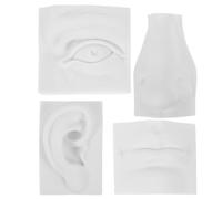 DIYEAH 1 Set Sculture per Caratteristiche Facciali Modello per e Pratica per Studenti e