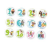 DIYEAH 12pezzi Adesivi Milestone Animali Per Ragazzo Ragazza Set Completo Mesi Sticker Mensili Riutilizzabili Senza Residui Per Regalo Nascita e Album Ricordi Bebè