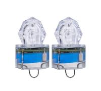 DIYEAH 2 Pezzi Luce da Pesca Subacquea LED per Notturna e Mare Profondo | Attrae Esche e Pesci, Struttura in Plastica Blu, e Resistente alla Pressione, per Amici Pescatori Colore Casuale