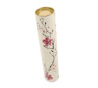 DIYEAH Contenitore Rotondo per Poster e Creazioni Tubo da Trasporto Resistente per Calligrafia e Disegni Scatola Regalo per Imballaggio e Spedizione Sicura