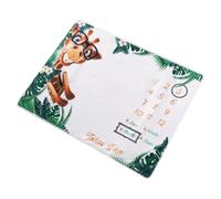 DIYEAH Coperta Milestone in Flanella per Ragazzo Ragazza 75x100 Cm Set 3 Pezzi con Cornici Bianche per Fotografia Bambina Accessorio per Cameretta e Foto Ricordo