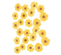 DIYEAH Fiori Secchi di Margherite Pressati Naturali 24 Pezzi per Lavori Artigianali Fai da Te Accessori per Decorazioni Custodie Telefono Manicure Album di Ritagli