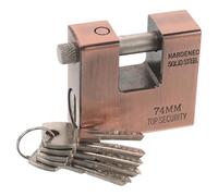 DIYEAH Lucchetto da Esterno in Ferro Vintage con Protezione Antieffrazione Robusta per Porta di Sicurezza e Porta Garage, Design Unico e Resistente, Colore Marrone