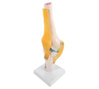 DIYEAH Modello anatomico del ginocchio umano con legamenti mobili, 11x5x4 | Modello scheletrico in plastica, ausilio didattico 3D dell'articolazione del ginocchio per la formazione chirurgica,