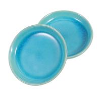 DIYEAH Piatto Gua Sha in Ceramica 2 Pezzi per Massaggi Multifunzionali Gambe e Corpo, Strumento per Massaggio e Stimolazione Circolazione, Dispositivo Wellness per Benessere Quotidiano