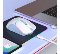 Diyeeni Mouse da Gioco Wireless 6 Pulsanti Programmabili 7200 DPI 3 modalità di Connessione Cablato 2.4G BT5.3 con Ricevitore USB Retroilluminato RGB per PC Laptop Tablet (Bianco Blu)