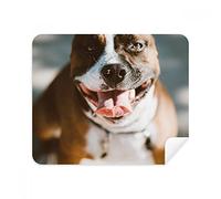DIYthinker Bulldog Animale da Compagnia terrificante Immagine visualizzata sullo Schermo del Telefono Cleaner Occhiali Panno di Pulizia 2 Pezzi in Tessuto Scamosciato
