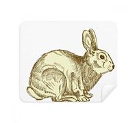 DIYthinker Easter Bunny Religione Festival Cultura Screen Phone Cleaner Occhiali Panno di Pulizia 2 Pezzi in Tessuto Scamosciato