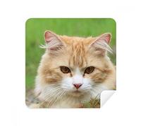 DIYthinker Giallo Stripes Gatto Stare Animale da Compagnia Occhiali Panno di Pulizia dello Schermo del Telefono Cleaner Tessuto della Pelle Scamosciata 2 Pezzi