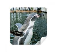 DIYthinker Natura Antarctic Penguin Scienza Immagine Occhiali Panno di Pulizia dello Schermo del Telefono Cleaner Tessuto della Pelle Scamosciata 2 Pezzi