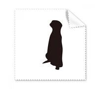 DIYthinker Nero Copher Rappresentazione animale sveglio Occhiali panno di pulizia del panno dello schermo del telefono Cleaner 5Pcs