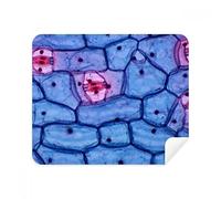 DIYthinker Plant Science Bioplast Microcosmica Modello Screen Phone Cleaner Occhiali Panno di Pulizia 2 Pezzi in Tessuto Scamosciato