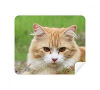 DIYthinker Strisce gialle del gatto Stare animale da compagnia screen del telefono Cleaner Occhiali panno di pulizia 2 pezzi in tessuto scamosciato
