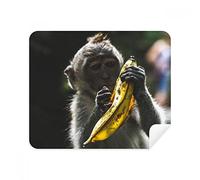 DIYthinker Terrestrial organismo Animale Scimmia Screen Phone Cleaner Occhiali Panno di Pulizia 2 Pezzi in Tessuto Scamosciato