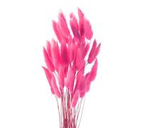Diyxisk Erba Della Pampas,50 Pezzi Reed Grass,Fiori Secchi Decorativi,Piante Secche,Adatto per Vaso da Tavola per Matrimoni Accessori per Decorazioni per la Casa Soggiorno(Rosso rosa intenso)