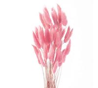Diyxisk Erba Della Pampas,50 Pezzi Reed Grass,Fiori Secchi Decorativi,Piante Secche,Adatto per Vaso da Tavola per Matrimoni Accessori per Decorazioni per la Casa Soggiorno(Rosa)