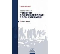 Dizionario del diritto dell'immigrazione e degli stranieri
