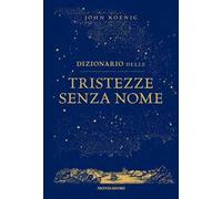 Dizionario delle tristezze senza nome