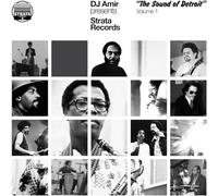 Various Artists DJ Amir Presents Strata Records: "The Sound of Detroi (Vinyl LP)