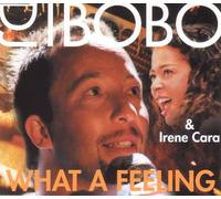 DJ Bobo & Irene Cara - What a Feeling