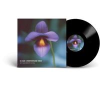 DJ Cam - Underground Vibes (30th Anniversary Edition) (180 g) (LP)