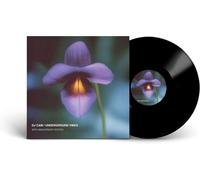 DJ Cam Underground Vibes (30th Anniversary Edition) (Vinyl LP) 12" Album