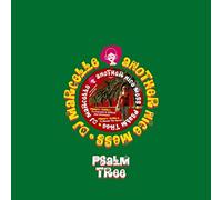 DJ Marcelle Psalm Tree (Vinyl LP)