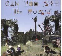 Dj Me Dj You - Can You See The Music