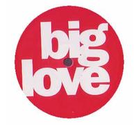 DJ Pierre Feat. Sylfronia King / Destroy This Track