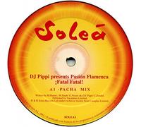 DJ Pippi - Pasion Flamenca