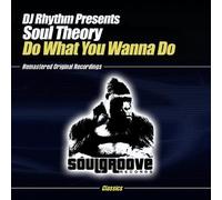 Dj Rhythm Presents Soul Theory - Do What You Wanna Do