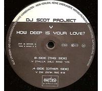 DJ Scot Project - How Deep Is Your Love?