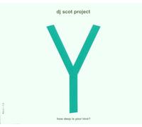 DJ Scot Project - Y (How Deep Is Your Love?)